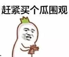 娱乐吃瓜君吐槽刘二豆